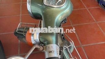 Honda Cub 1981 70cc Xanh