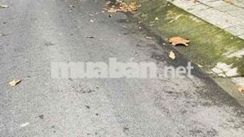 🏡 BÁN NHÀ LÊ ĐỨC THỌ, GÒ VẤP – 64M² – 1 TRỆT 1 LỬNG – VỊ TRÍ ĐẸP, GIÁ