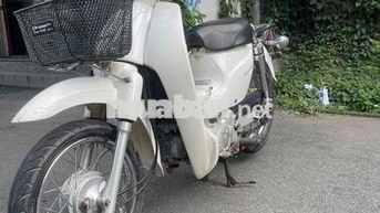 Honda Cup 50cc Trắng Xe số
