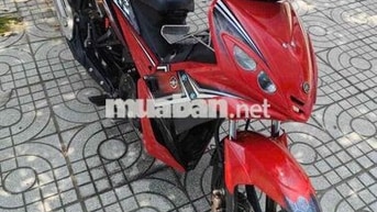 Ex xuống áo giấy ko chính chú bao tranh chấp