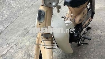 Cub 50 2009 Vàng cho học sinh đi học