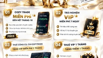 HỌC TRADING TỪ CƠ BẢN ĐẾN NÂNG CAO 