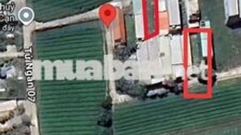 Bán đất kiệt tứ ngân 7,  cách làng đại học chỉ 1 km