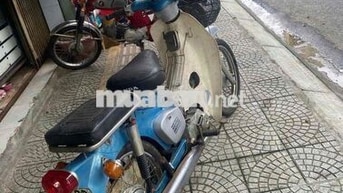 Honda Cub Cổ điển Xanh, Trắng