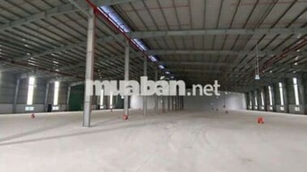 Xưởng Thuận An 6000m² PCCC Thẩm duyệt đường cont điện hạ bình sản xuất