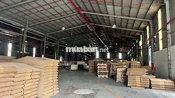 Xưởng Thuận An 4600m² PCCC Tự Động đường cont điện hạ trạm