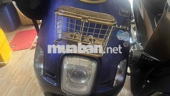 Yamaha Cuxi Tím