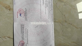 quá rẻ quá đẹp để xún tiền khách ơi