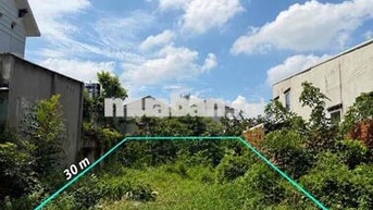 296m2 - 150m2 Thổ Cư SHR, MT Nhựa Thị Trấn Củ Chi