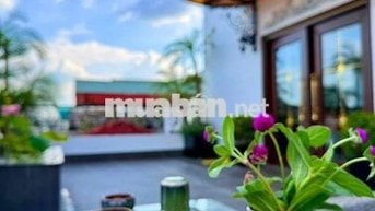 bán nhà chính chủ miễn trung gian