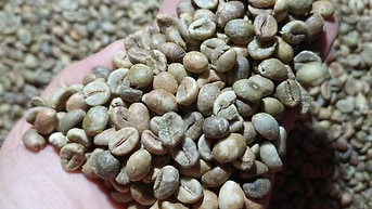  CÀ PHÊ RANG XAY NGUYÊN CHẤT  ARABICA CẦU ĐẤT 
