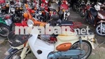 Honda Cub Trắng cam Cổ điển