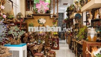 BÁN NHÀ RỘNG ĐẸP PHAN HUY ÍCH- TÂN BÌNH- HẺM 8M THÔNG- DT 56M2- 3 TẦNG