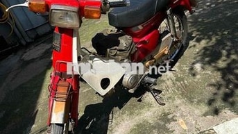 xe dh đỏ