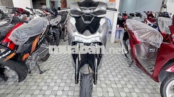 Honda SH 2024 Xám