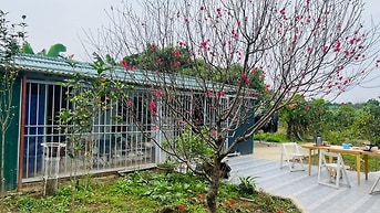 Nhượng nhà vườn trung tâm Hà Nội