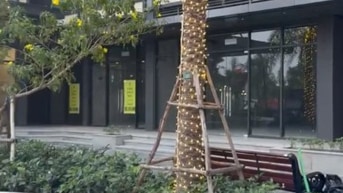 Cần tiền cho thuê căn shop đế mặt sảnh Zurich 2 Vinhomes oceanpark1