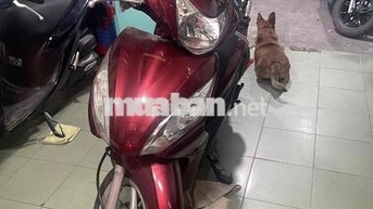 Honda Vision 2013 13tr2 chính chủ biển tp