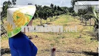 🔥 ĐẤT TRUNG TÂM PHÚ GIÁO – CÁCH CHỢ 200M, GIÁ CHỈ 750 TRIỆU!