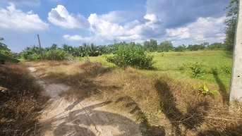 Ngang 65m dài 107m. Có thổ. Đường thông. 4,55 tỷ 