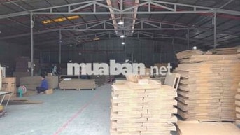Xưởng Dĩ An 900m PCCC Tự Động Khuôn Viên Sân