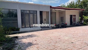 BÁN ĐẤT CÓ NHÀ XƯỞNG TẠI CỦ CHI – 2.500 M² CÓ 1.990 M² ĐẤT Ở