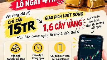 Dịch vụ hỗ trợ tư vấn tài chính 