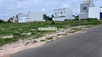 Bán Đất 188m2 Đ. Liêu Bình Hương, Tân Thông Hội, SHR, Giá 700 triệu.