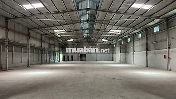 Kho xưởng 1.200 m² có PCCC và điện 3 pha, đường Quốc Lộ 91B