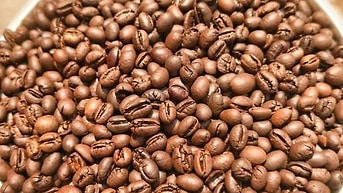 Tìm đối tác CÓ ĐẦU RA cho mặt hàng cà phê rang xay.+ trà ướp hương