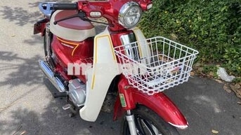 Cub led Đỏ Zin