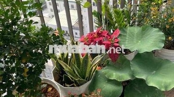 Chính chủ cần bân nhanh căn hộ chung cư Opal Boulevad
