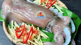 Mực lá câu làm món gì ngon? Kinh nghiệm chọn mua mực