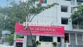 CHO THUÊ TÒA NHÀ PHỔ QUANG – PHÚ NHUẬN - 9X20m - HẦM 4 TẦNG
