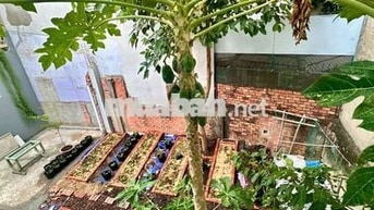 NHÀ NGUYÊN CĂN CÓ SÂN VƯỜN TRỒNG RAU NUÔI GÀ - BÌNH THẠNH - TỔNG 160m²