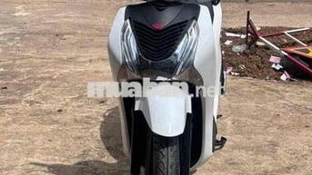Honda SH 150cc 2014 Trắng