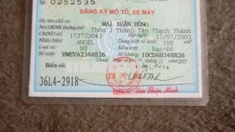 SYM Angel 100 2005 màu Đỏ