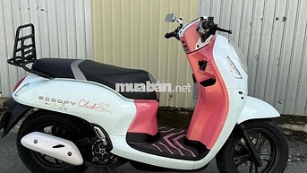 Honda Scoopy Club 12 Trắng hồng