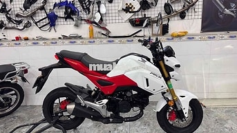 Honda MSX125 2020 12k km Trắng đỏ