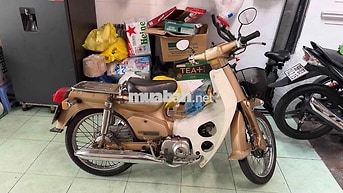 Honda Cub 50 Vàng đồng