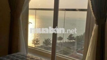 Cho thuê chung cư Mermaid seaside 1PN view biển tầng cao