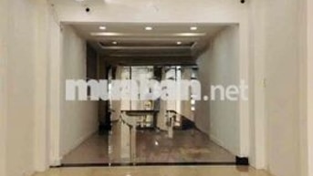 TM Nguyễn Thị Nhỏ P.Tân Hoà, Tân Bình. 5 Tầng ( Có Thang Máy)