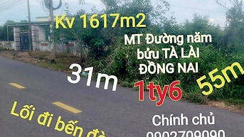 Mật tiền đường nhựa bến đò năm bửu 31m x 55m đất 1ty600 