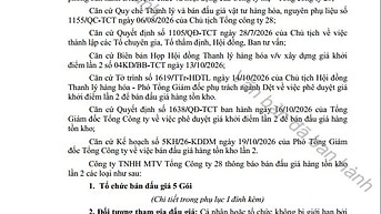 Thông báo bán đấu giá vải, sợi