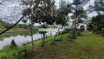 đất nghỉ dưỡng bám hồ xã Đoài Phương - TP Hà Nội, cách Big C  40 phút 