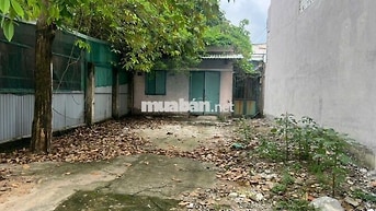 🔥ĐẤT CHỢ THỦ ĐỨC 150M2 CHỈ 8Đ NHỈNH🔥