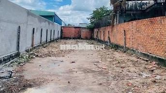 CHỈ 50...SỞ HỮU NGAY LÔ GÓC 7x20 TÂN THÔNG HỘI, SẴN 200M THỔ!