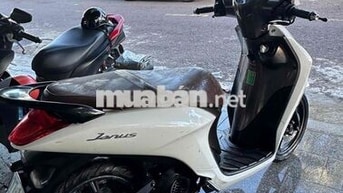 Yamaha Janus 2021 Giới hạn Trắng nâu