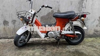 Honda Chaly màu Cam trắng