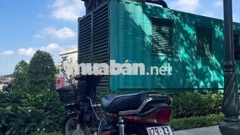 HONDA DREAM MÀU NHO
